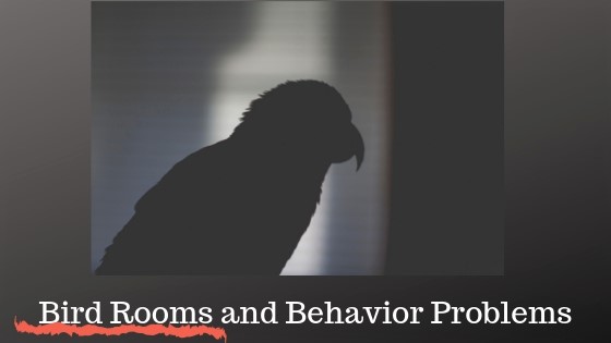 Parrots in Bird Rooms
