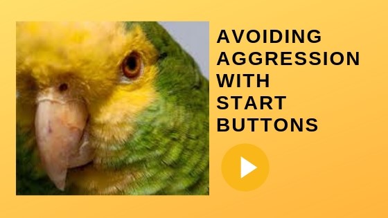 Parrots and Start Buttons