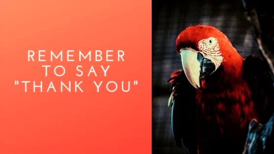 Remember to Say “Thank You!”