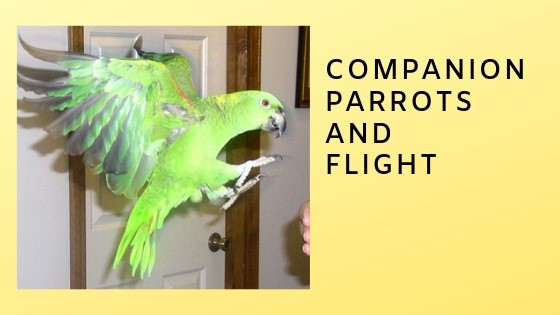 Part Two: The Benefits to Them