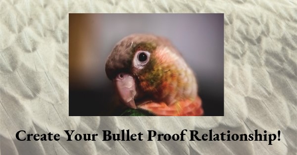 How to Create A Bullet Proof Relationship with Your Parrot