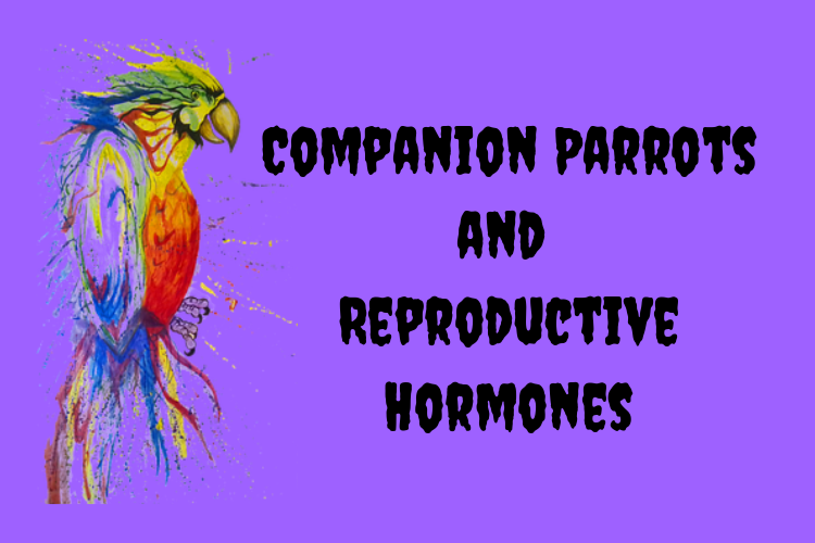 a.k.a. “Hormonal Behavior”