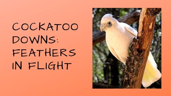 What Needs to Be Said