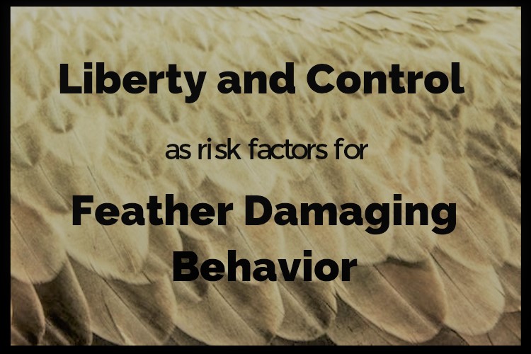 Risk Factors for Feather Damaging Behavior