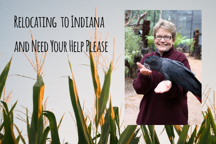 Asking for Your Help