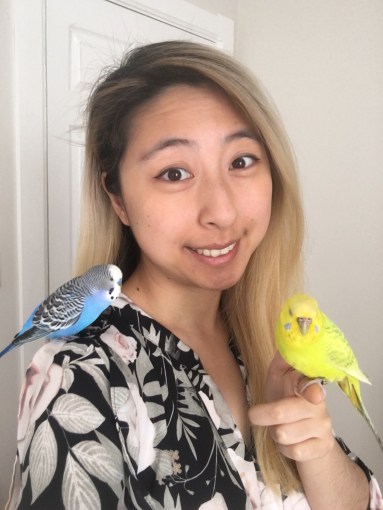 Introducing Dr. Amy Zhao of The Budgie Academy