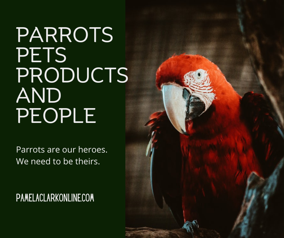 Parrots. Pets. Products. and People.
