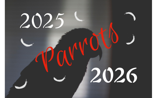 Empowering Parrot Care: Mentoring and Certification in 2026