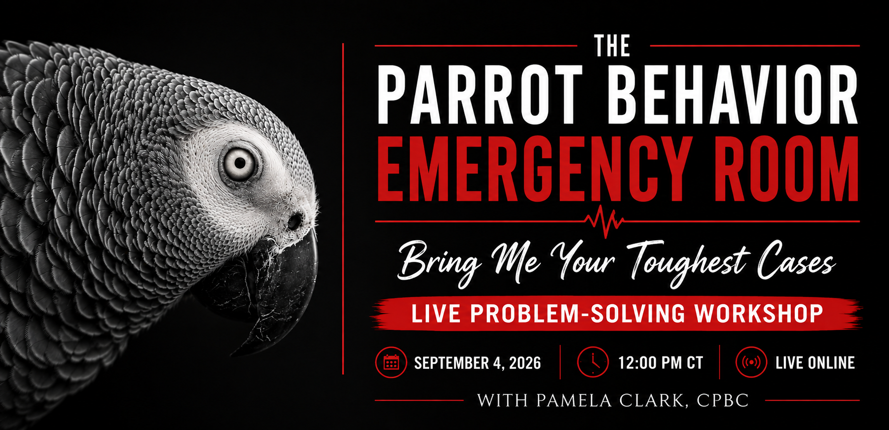 Why the Usual Parrot Behavior Advice Often Doesn’t Work